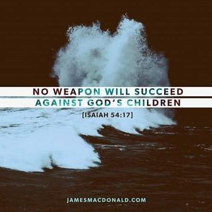 Meet your Posher, Nicki